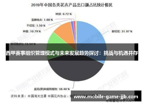 西甲赛事组织管理模式与未来发展趋势探讨：挑战与机遇并存