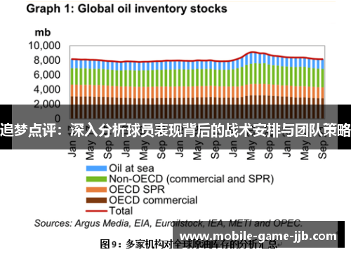 追梦点评：深入分析球员表现背后的战术安排与团队策略